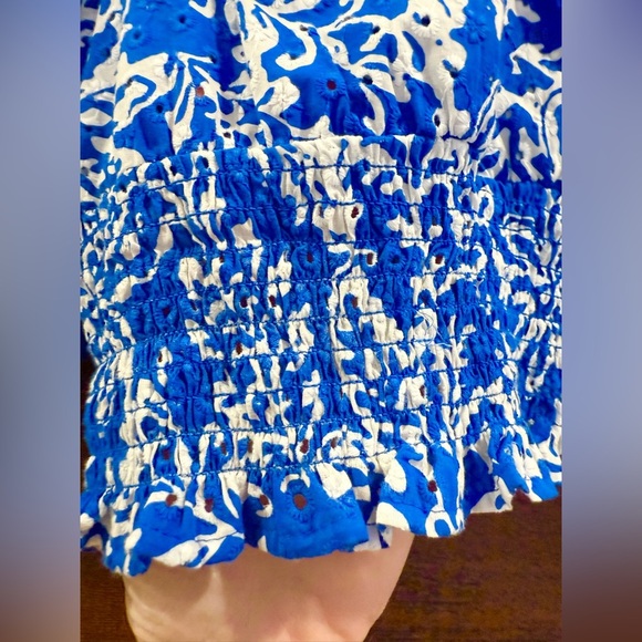 Zara Blue and White Eyelet Floral Blouse with Puff Sleeves - Picture 6 of 7